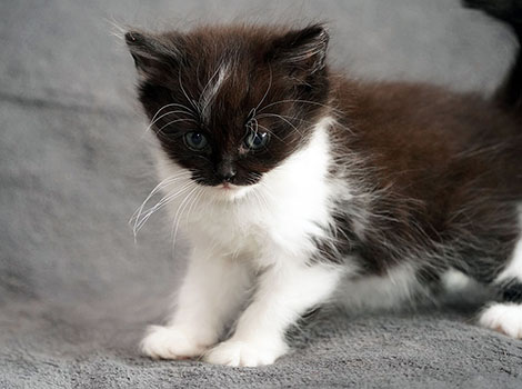 Qualimero am 28.05.2025